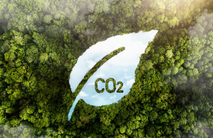 Bosque con símbolo de hoja y el CO2