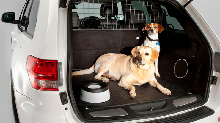animales en coche preparados para viajar
